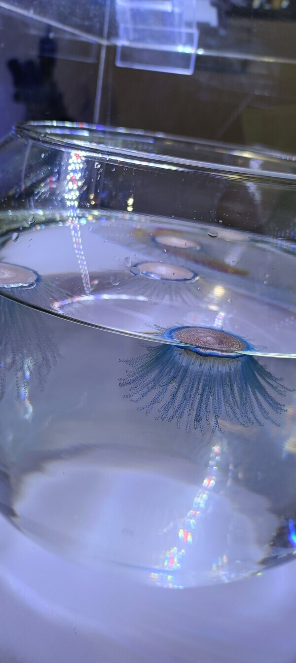 10月になりましたら…🩷