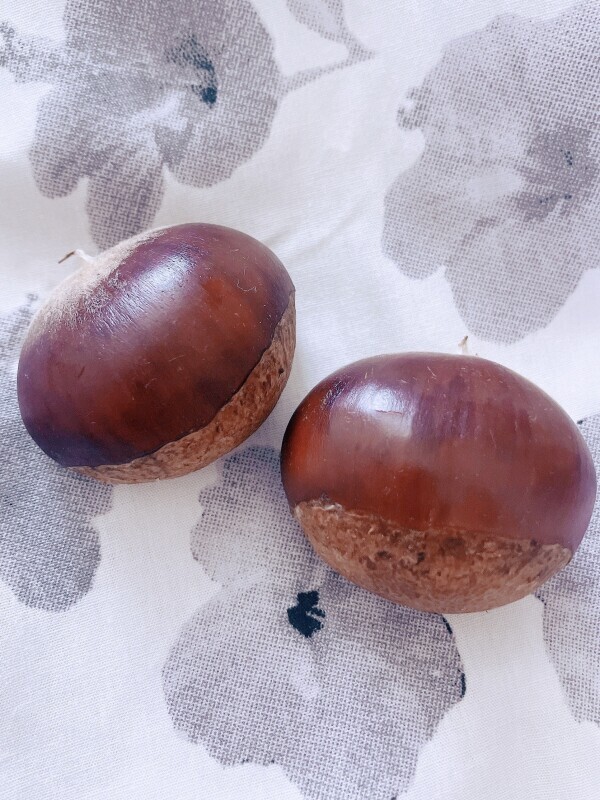 明日2回目の出勤します！