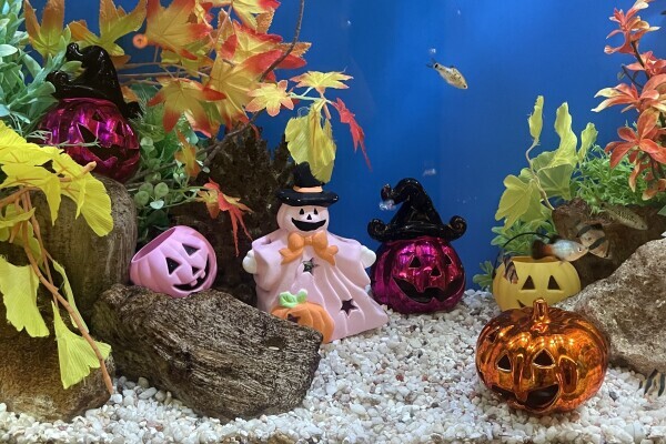 こんなところまで