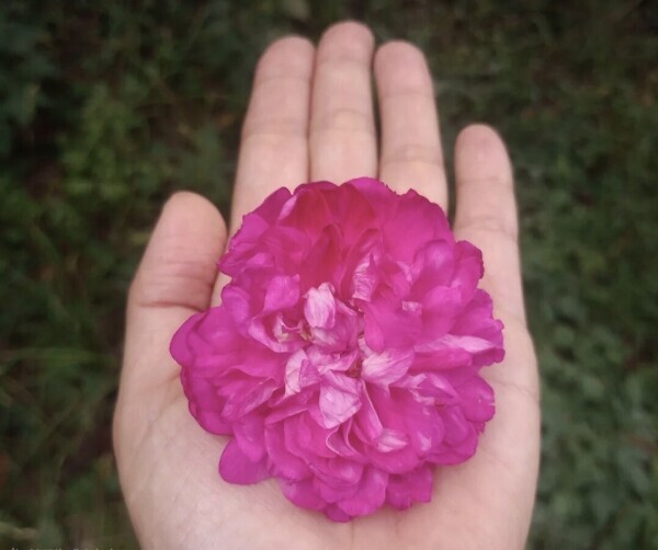 ♥️こんにちは♥️