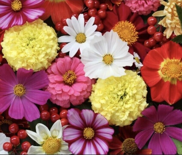 ♥️こんにちは♥️