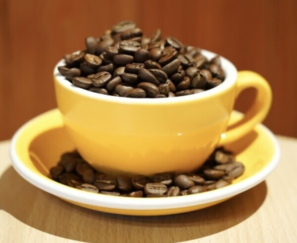 ♥️おはようございます♥️