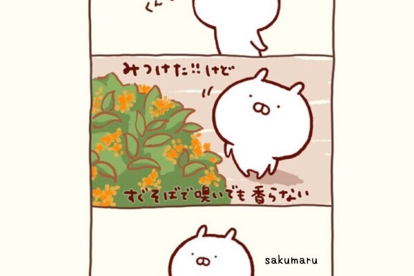 ふわっと