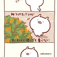 あやり