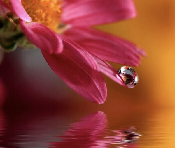 ♥️おはようございます♥️