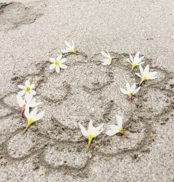 ♥️おはようございます♥️