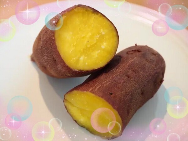 11/4 出勤ですっ