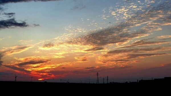 出勤しました！！