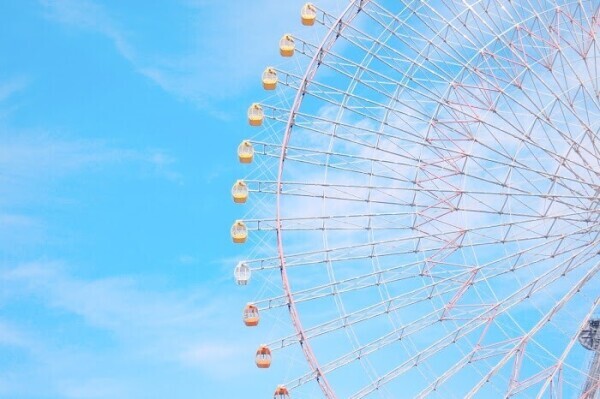 🎡
