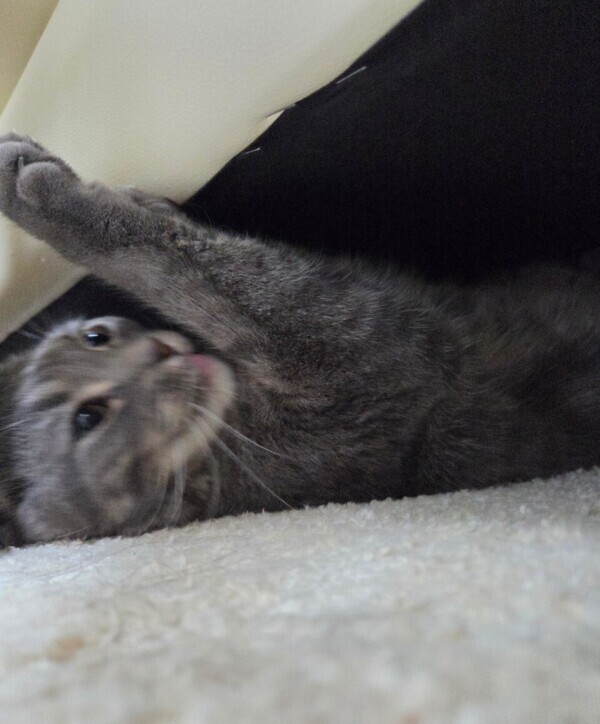 ごめんなさい🙏💦