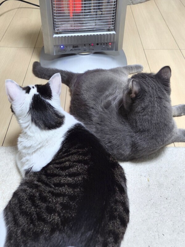 ごめんなさい💦