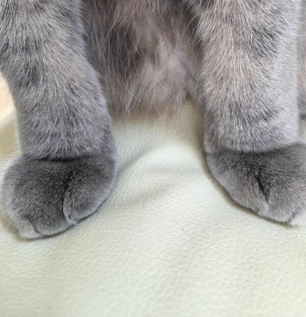 ありがとう☺️🩷