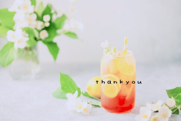 thankyou🐤