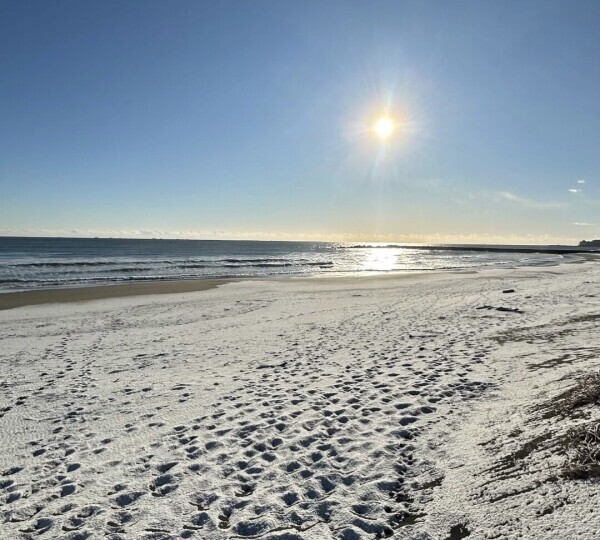 ♥️おはようございます♥️