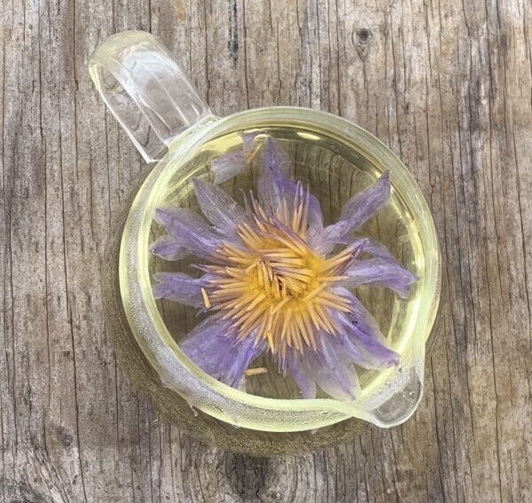 ♥️おはようございます♥️