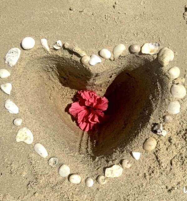 ♥️おはようございます♥️