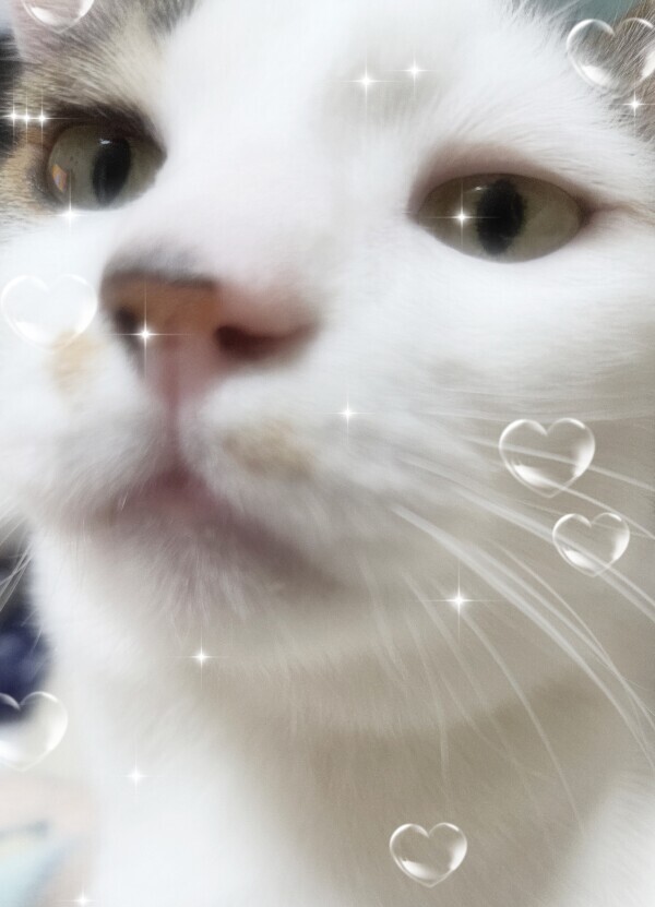 ありがとう❣️