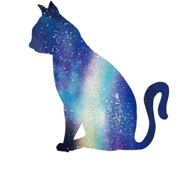 にゃんにゃんにゃんの日🐈