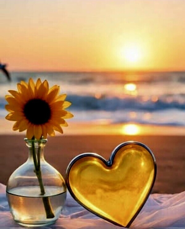 ♥️ありがとうございます♥️