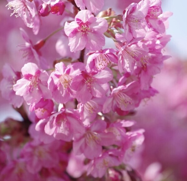 ♥️おはようございます♥️