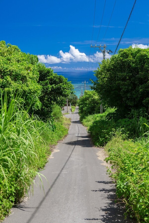 明日の空き状況‥♡