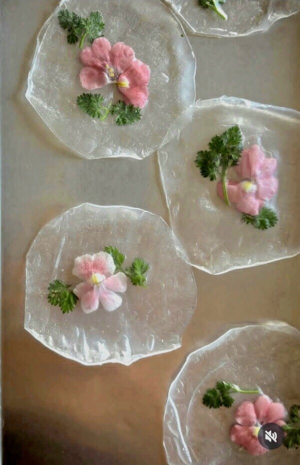 ♥️おはようございます♥️