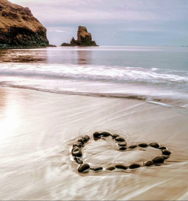 ♥️おはようございます♥️