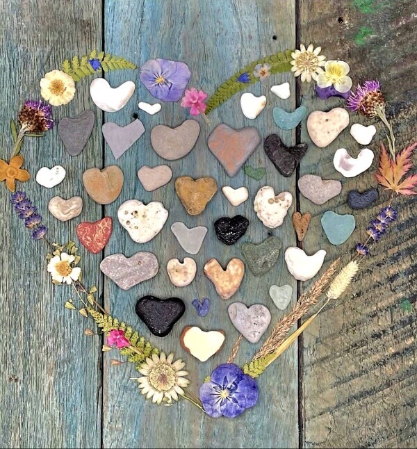 ♥️おはようございます♥️