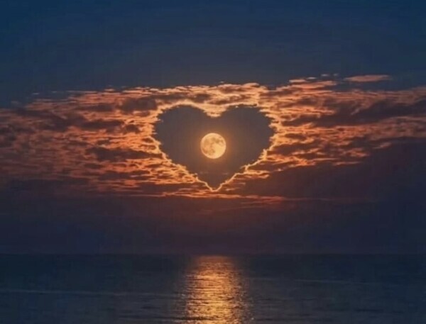 ♥️ありがとうございます♥️