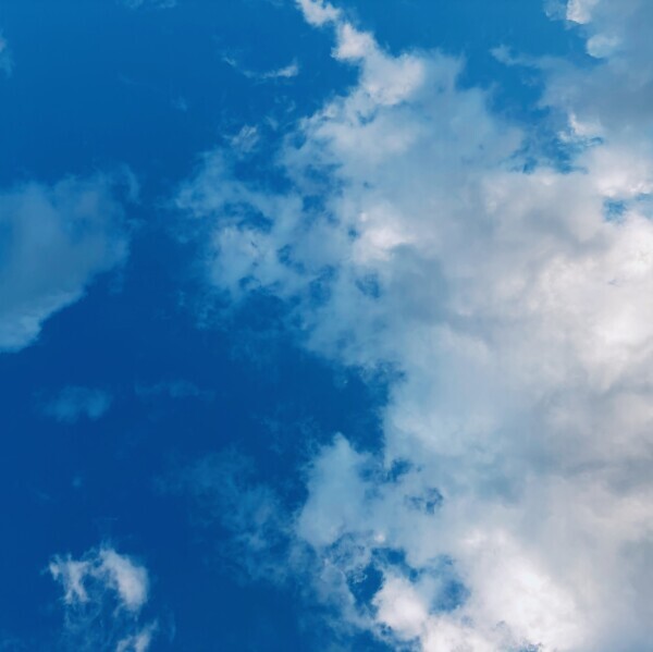 本日、出勤します🌙