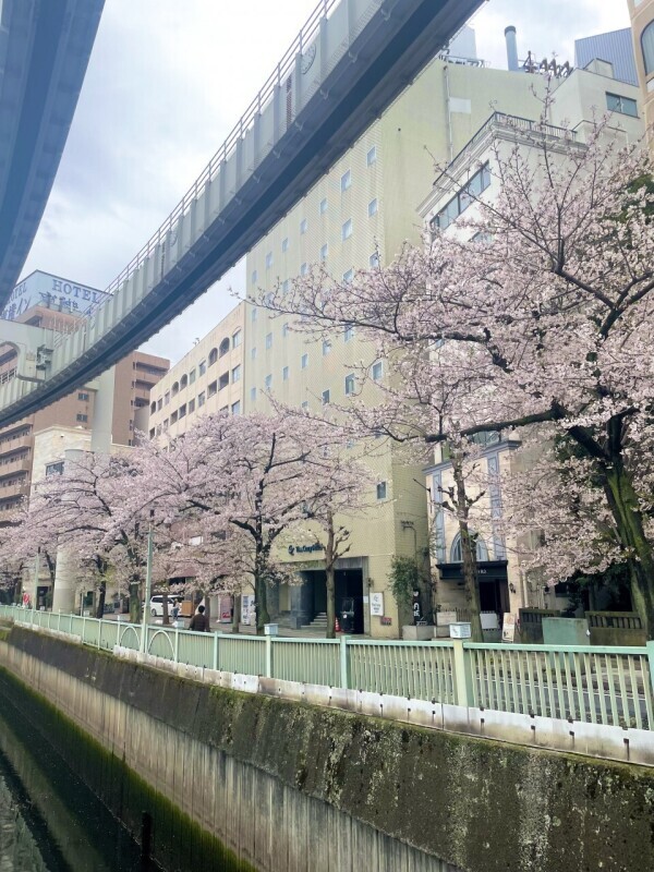 ♡ 残り1枠 ♡⸝⸝
