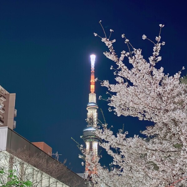本日、出勤します🌙