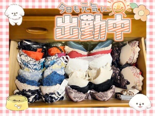 出勤しました😊