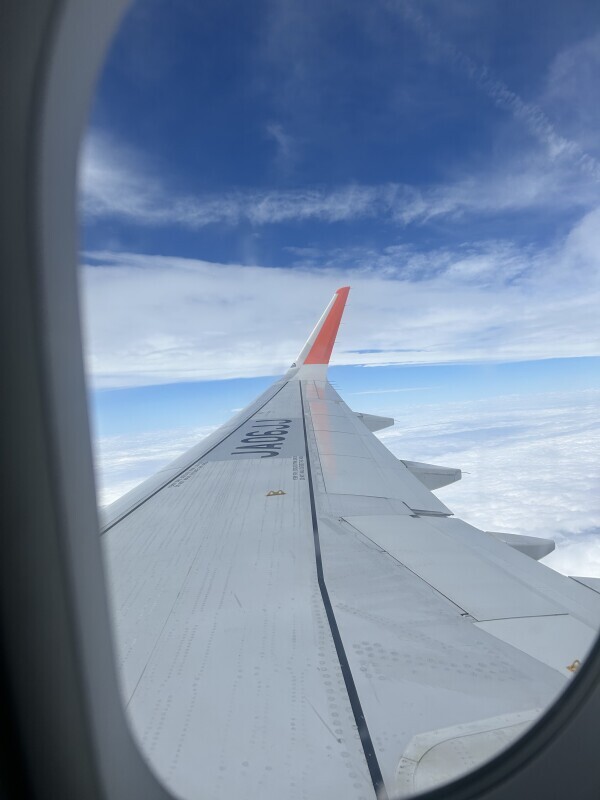 帰ってきた～