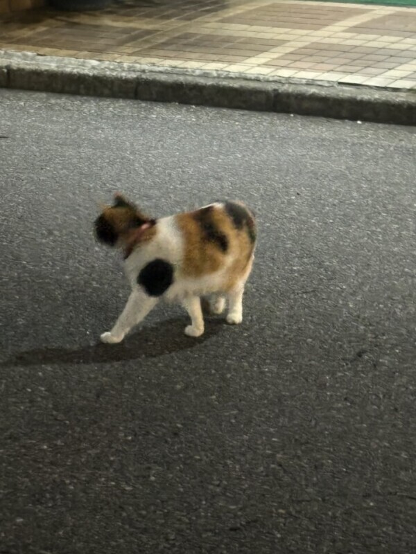4月25日のお礼