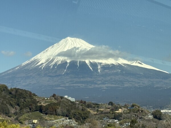 お休みします