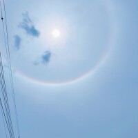 みやび