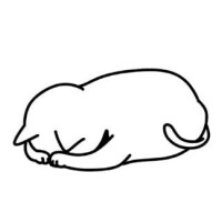 ムイ