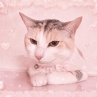 ウラ