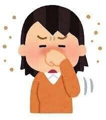 花粉症ガチ勢