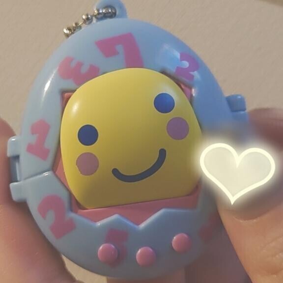久々の朝