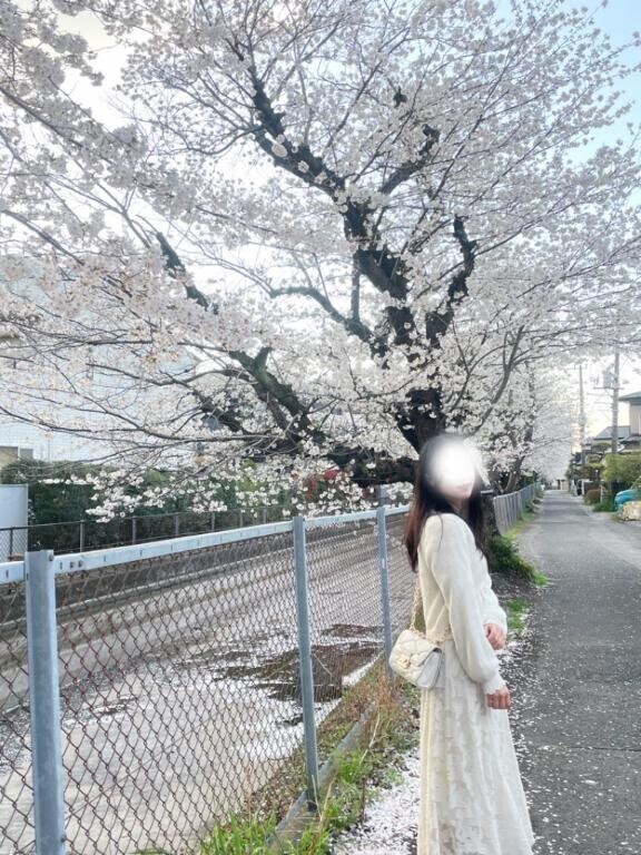 桜は、儚いから美しいの？