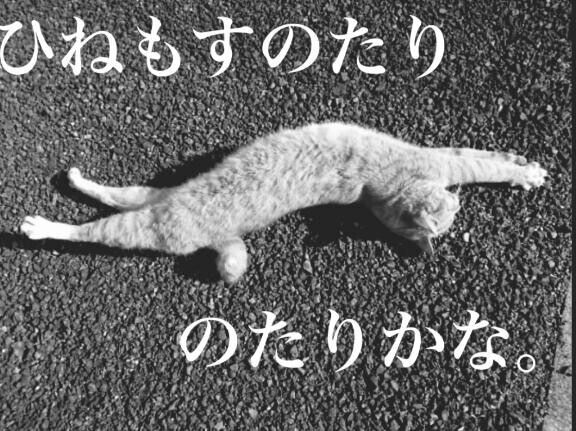 朝からユリ?春って危険