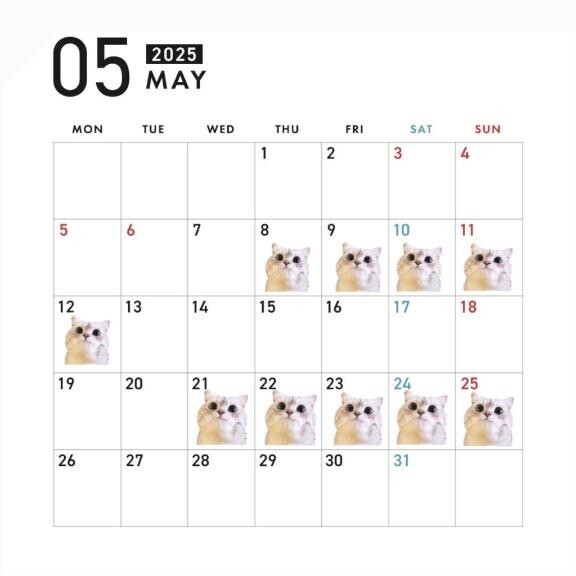 5月の予定??