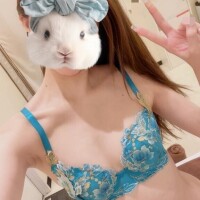 ナズナ