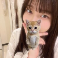 マナ