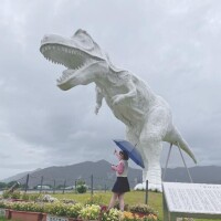 ナギ