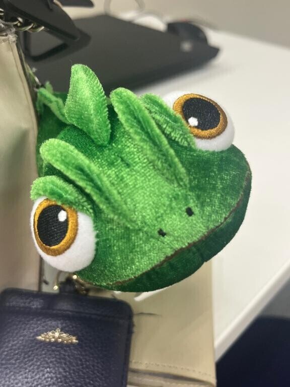 今月の??