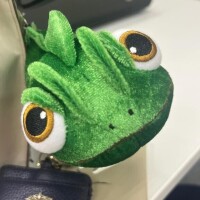 チナ