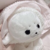 イノリ